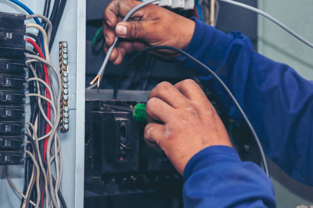 Best Electric Panel Repair  in Hillsboro Beach, FL